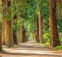 Silifke Escortun Enfes Hikayesi